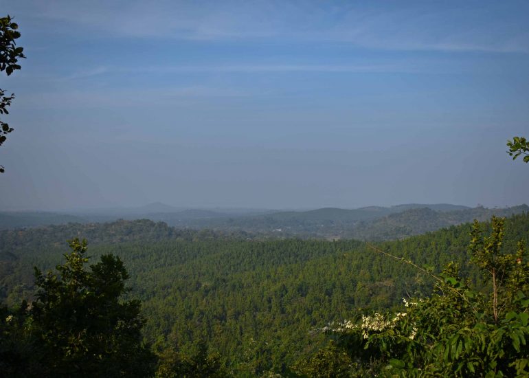 Jhilimili-Baro Mile Forest